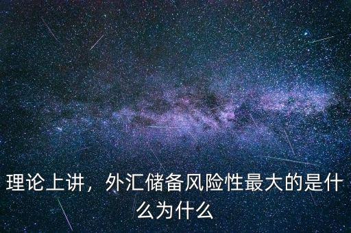 理論上講，外匯儲(chǔ)備風(fēng)險(xiǎn)性最大的是什么為什么