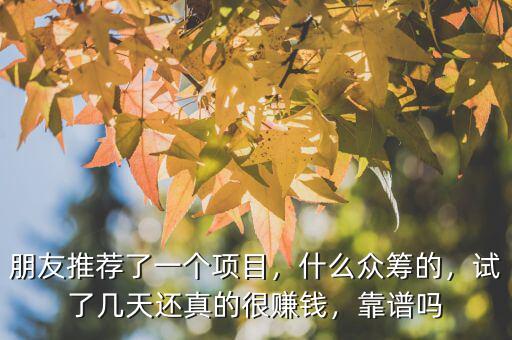 朋友推薦了一個項目，什么眾籌的，試了幾天還真的很賺錢，靠譜嗎