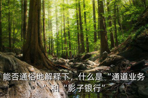 能否通俗地解釋下，什么是“通道業(yè)務(wù)”和“影子銀行”