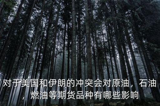 對(duì)于美國(guó)和伊朗的沖突會(huì)對(duì)原油，石油，燃油等期貨品種有哪些影響