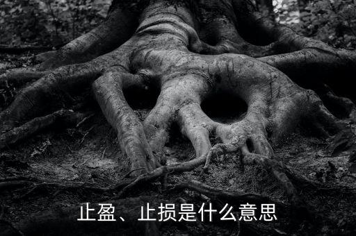止盈、止損是什么意思