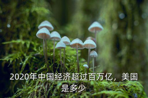 2020年中國經(jīng)濟超過百萬億，美國是多少
