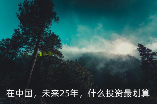 在中國(guó)，未來25年，什么投資最劃算