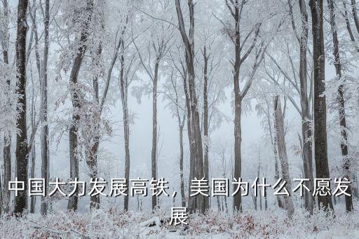 中國大力發(fā)展高鐵，美國為什么不愿發(fā)展