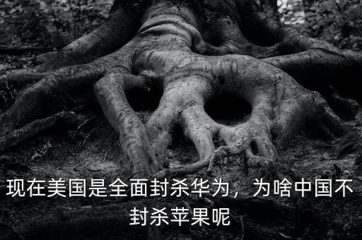 現(xiàn)在美國(guó)是全面封殺華為，為啥中國(guó)不封殺蘋果呢