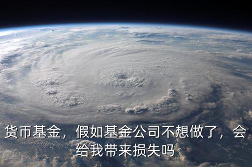 貨幣基金，假如基金公司不想做了，會給我?guī)頁p失嗎