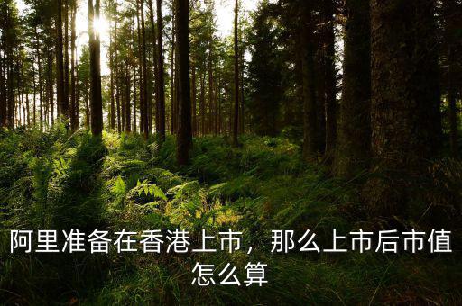 阿里準(zhǔn)備在香港上市，那么上市后市值怎么算