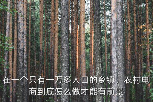 在一個(gè)只有一萬多人口的鄉(xiāng)鎮(zhèn)，農(nóng)村電商到底怎么做才能有前景