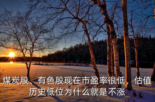 煤炭股、有色股現(xiàn)在市盈率很低，估值歷史低位為什么就是不漲