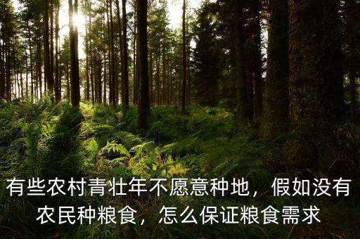 有些農(nóng)村青壯年不愿意種地，假如沒有農(nóng)民種糧食，怎么保證糧食需求