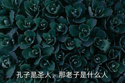 孔子是圣人，那老子是什么人