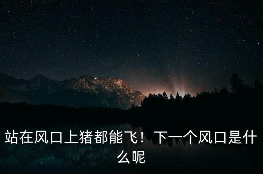 站在風(fēng)口上豬都能飛！下一個(gè)風(fēng)口是什么呢