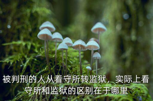 被判刑的人從看守所轉(zhuǎn)監(jiān)獄，實(shí)際上看守所和監(jiān)獄的區(qū)別在于哪里