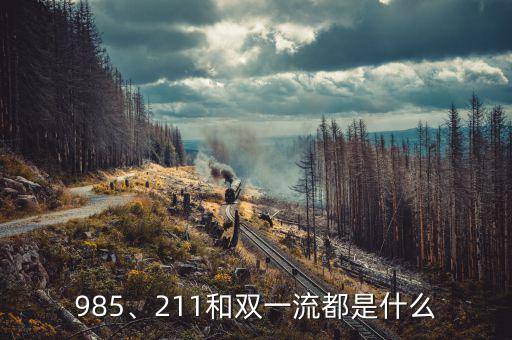 985、211和雙一流都是什么