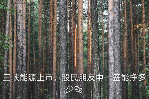 三峽能源上市，股民朋友中一簽?zāi)軖甓嗌馘X