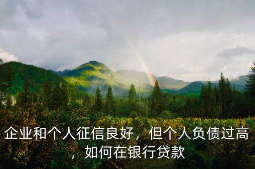 企業(yè)和個人征信良好，但個人負(fù)債過高，如何在銀行貸款