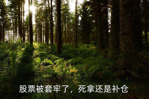 股票被套牢了，死拿還是補倉