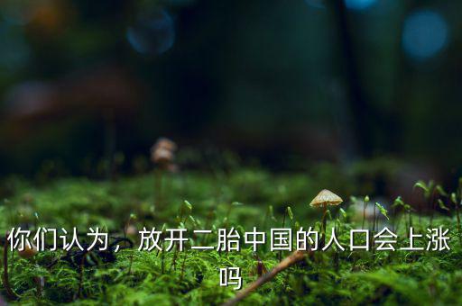 你們認(rèn)為，放開二胎中國的人口會上漲嗎