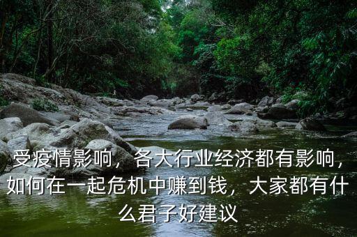 受疫情影響，各大行業(yè)經(jīng)濟(jì)都有影響，如何在一起危機(jī)中賺到錢，大家都有什么君子好建議