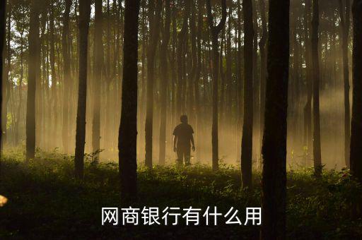 猴幣有什么用,網商銀行有什么用