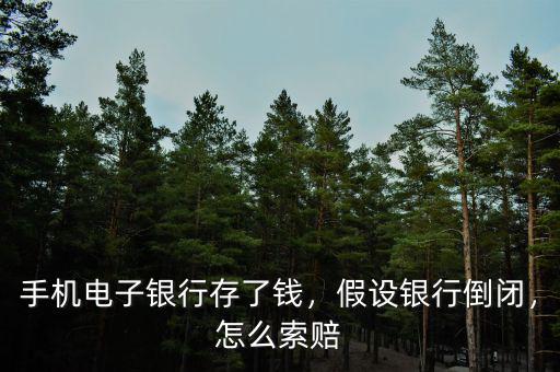 手機電子銀行存了錢，假設(shè)銀行倒閉，怎么索賠