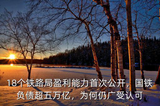 18個鐵路局盈利能力首次公開，國鐵負(fù)債超五萬億，為何仍廣受認(rèn)可