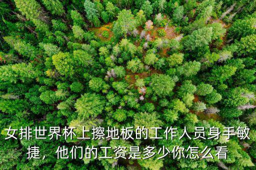 女排世界杯上擦地板的工作人員身手敏捷，他們的工資是多少你怎么看