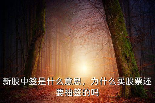 新股中簽是什么意思，為什么買股票還要抽簽的嗎
