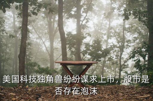 美國(guó)科技獨(dú)角獸紛紛謀求上市，股市是否存在泡沫