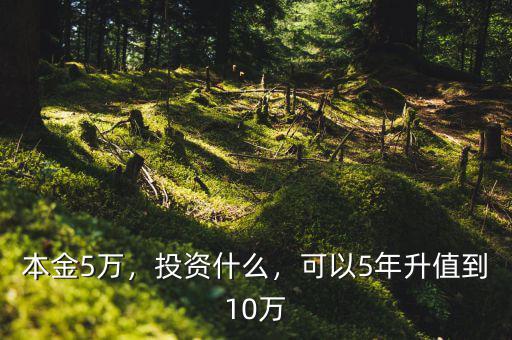 本金5萬，投資什么，可以5年升值到10萬