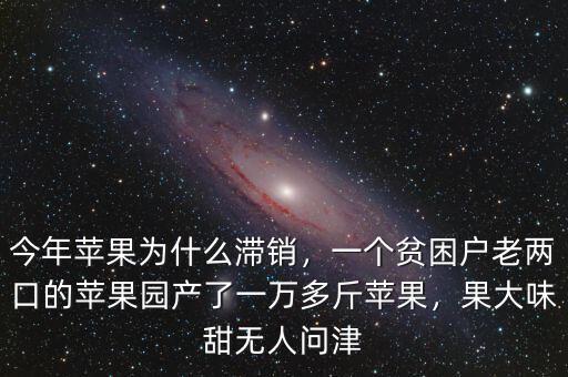 今年蘋果為什么滯銷，一個貧困戶老兩口的蘋果園產(chǎn)了一萬多斤蘋果，果大味甜無人問津