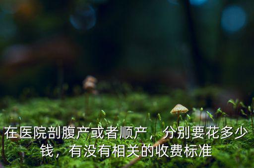 在醫(yī)院剖腹產(chǎn)或者順產(chǎn)，分別要花多少錢，有沒有相關(guān)的收費標(biāo)準(zhǔn)