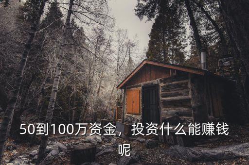 50到100萬資金，投資什么能賺錢呢