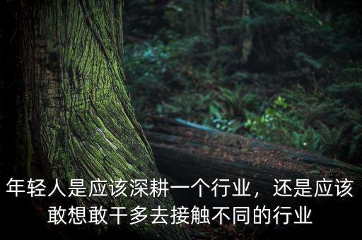 年輕人是應(yīng)該深耕一個(gè)行業(yè)，還是應(yīng)該敢想敢干多去接觸不同的行業(yè)