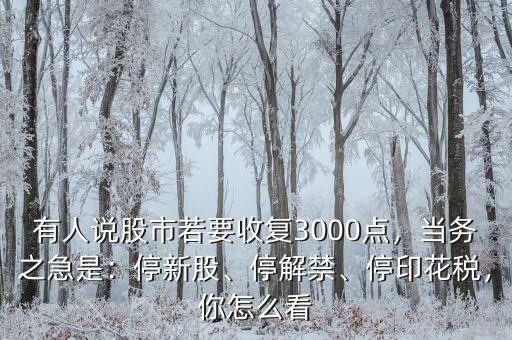 有人說股市若要收復(fù)3000點，當務(wù)之急是：停新股、停解禁、停印花稅，你怎么看