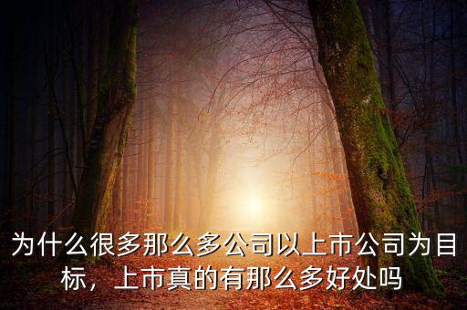 為什么很多那么多公司以上市公司為目標，上市真的有那么多好處嗎