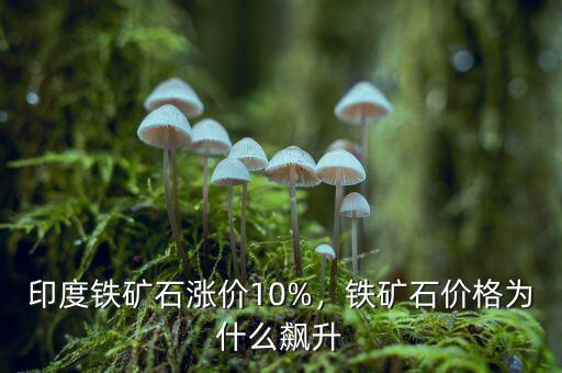 印度鐵礦石漲價10%，鐵礦石價格為什么飆升