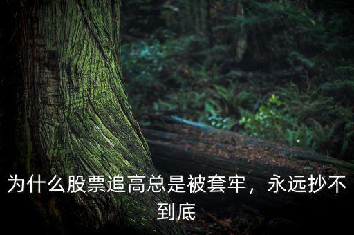 為什么股票追高總是被套牢，永遠抄不到底