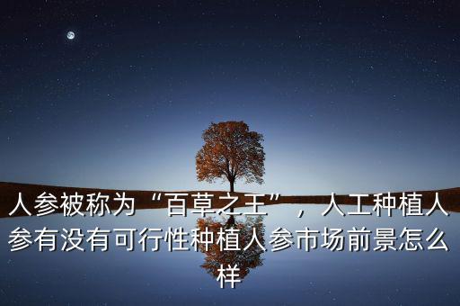 人參被稱為“百草之王”，人工種植人參有沒有可行性種植人參市場前景怎么樣