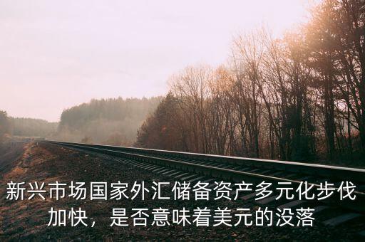 新興市場(chǎng)國家外匯儲(chǔ)備資產(chǎn)多元化步伐加快，是否意味著美元的沒落