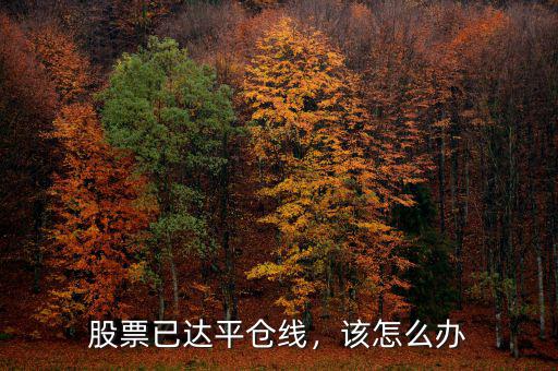 股票已達平倉線，該怎么辦