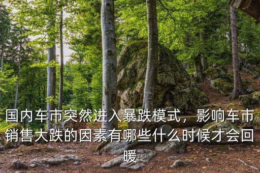 國內(nèi)車市突然進(jìn)入暴跌模式，影響車市銷售大跌的因素有哪些什么時(shí)候才會回暖