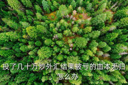 投了幾十萬炒外匯結(jié)果被虧的血本無歸，怎么辦