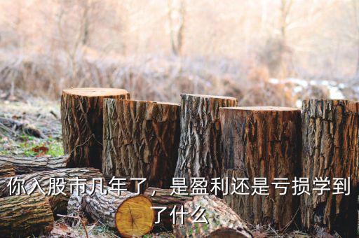 你入股市幾年了，是盈利還是虧損學(xué)到了什么