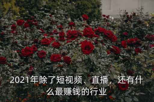 2021年除了短視頻、直播，還有什么最賺錢的行業(yè)