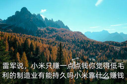 雷軍說(shuō)，小米只賺一點(diǎn)點(diǎn)錢你覺(jué)得低毛利的制造業(yè)有能持久嗎小米靠什么賺錢