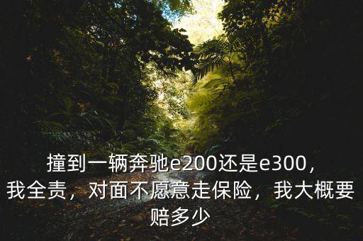 撞到一輛奔馳e200還是e300，我全責(zé)，對(duì)面不愿意走保險(xiǎn)，我大概要賠多少