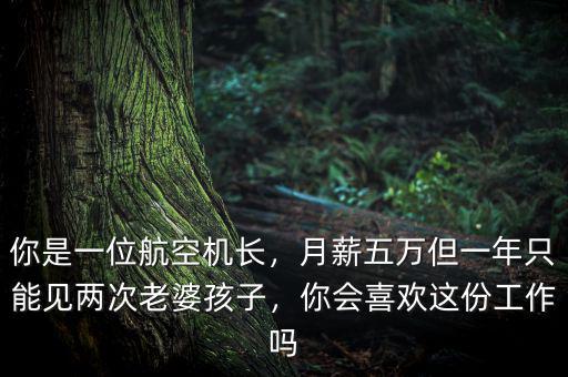你是一位航空機(jī)長，月薪五萬但一年只能見兩次老婆孩子，你會喜歡這份工作嗎