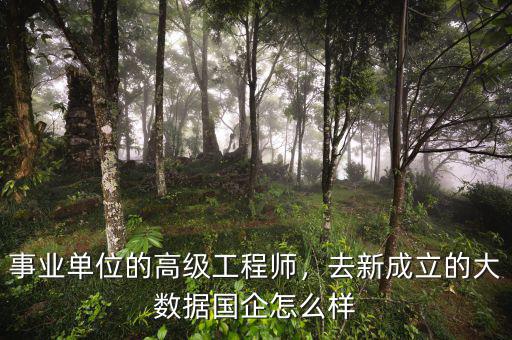 事業(yè)單位的高級工程師，去新成立的大數(shù)據(jù)國企怎么樣