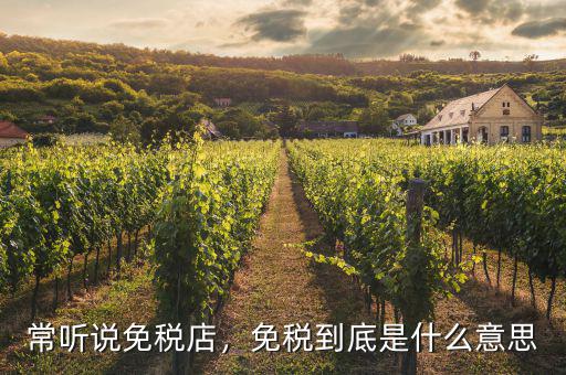 常聽(tīng)說(shuō)免稅店，免稅到底是什么意思